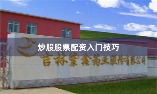 炒股股票配资入门技巧